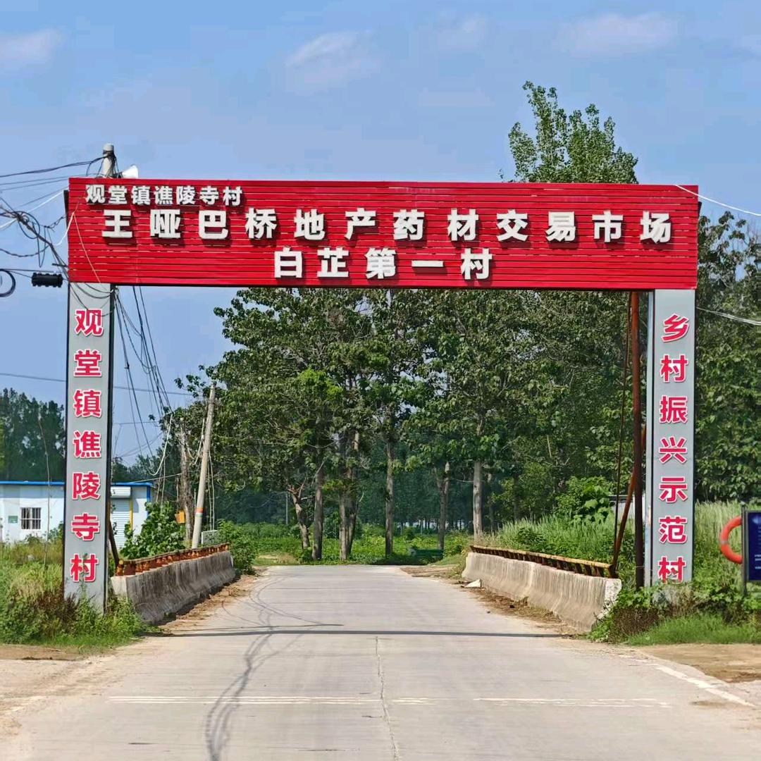 刘姐信息部