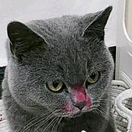 独来独往，吃亏是福！！