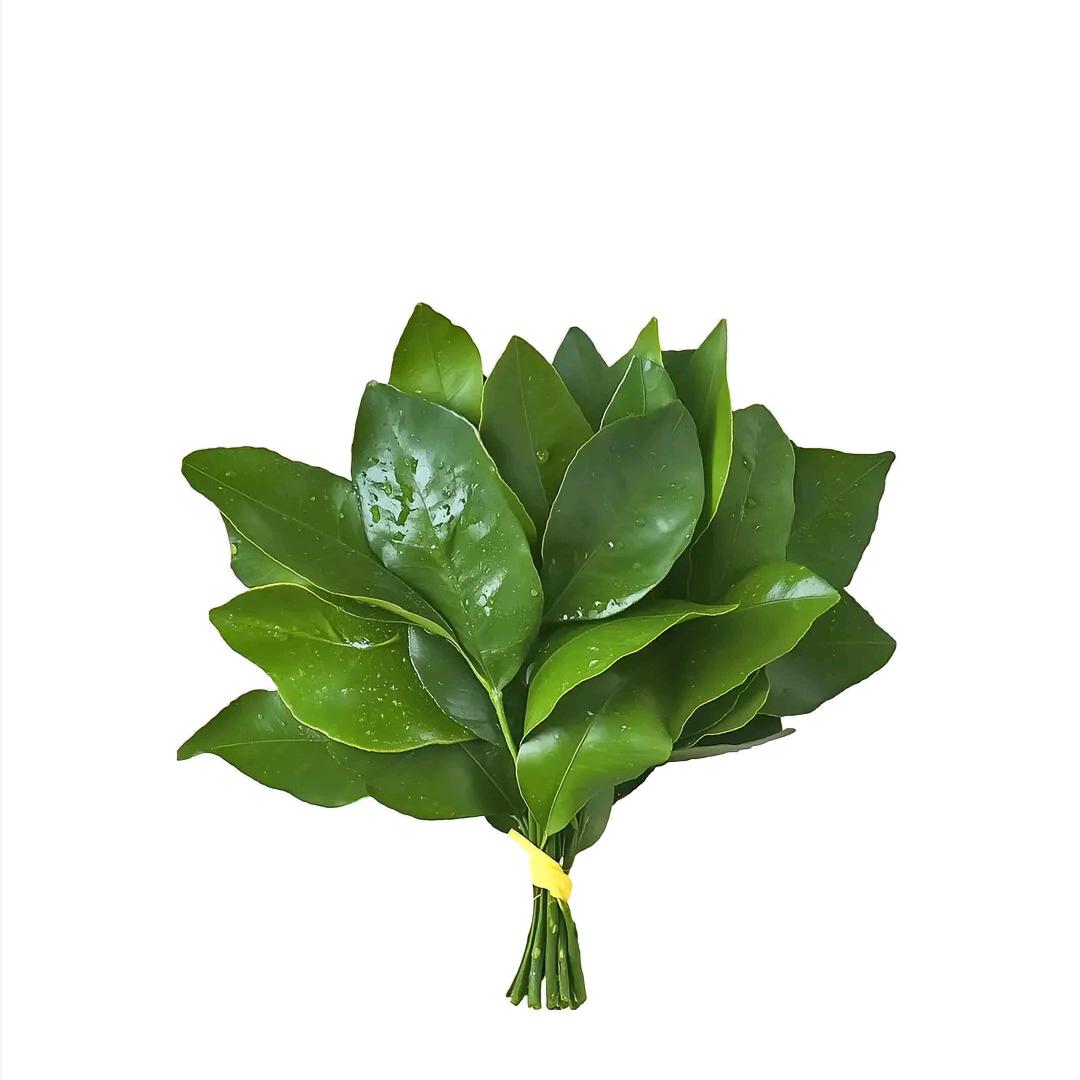 匸雅¹⁹⁹⁵✌