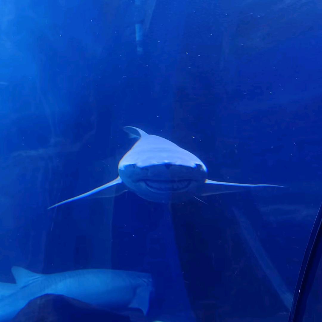 小瓜（不连赞～互关版）