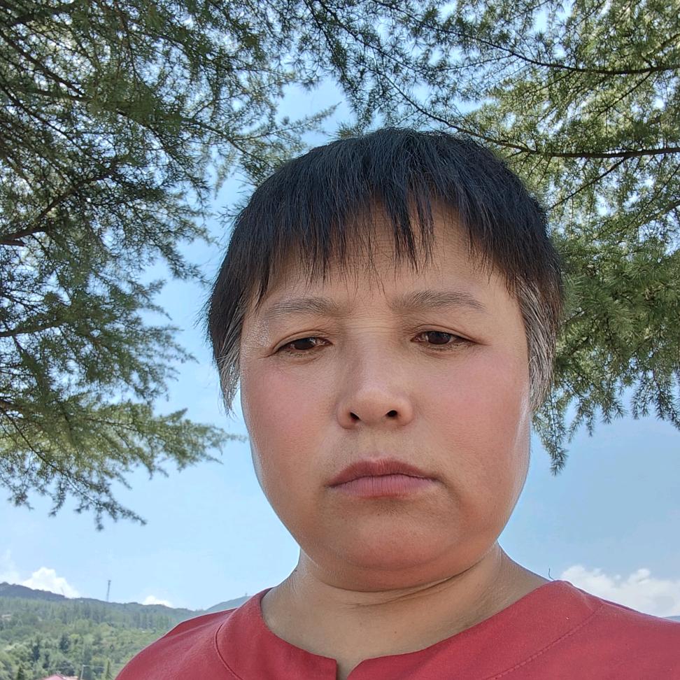 回忆等你回家
