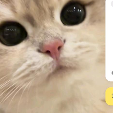 大白罐滋润保湿霜秋冬必备家庭装