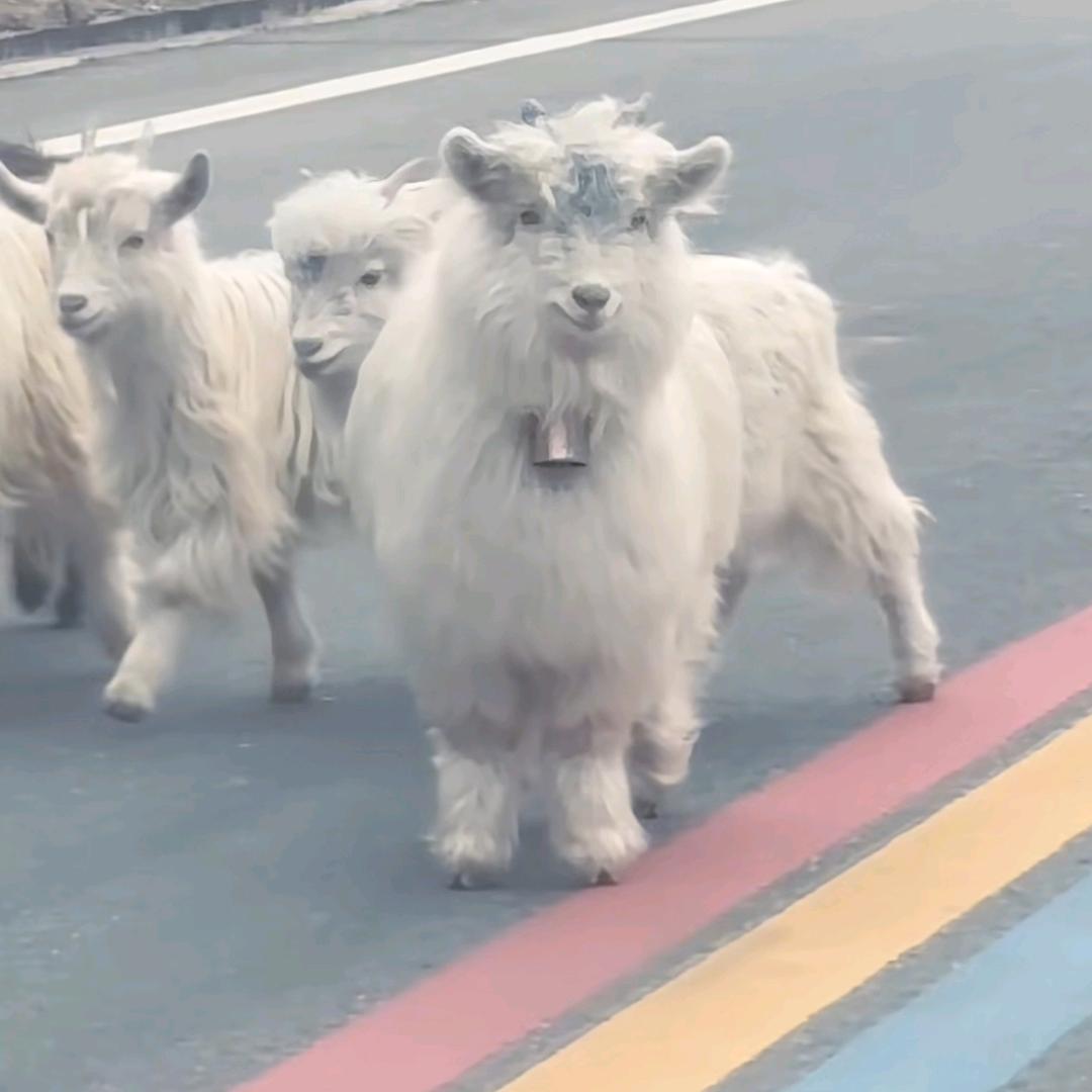 希望能和正常人交流