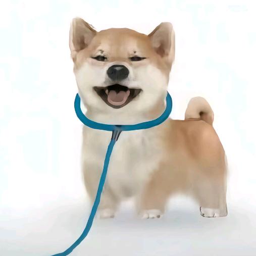 杰思维