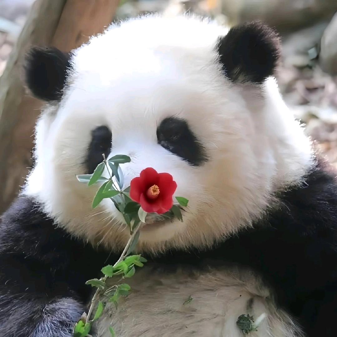 🌈五月(阳阳)🌈🌈