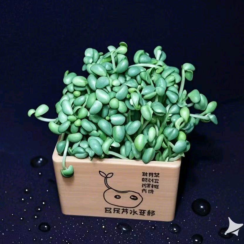 环城火锅~匠心熬汤十八年