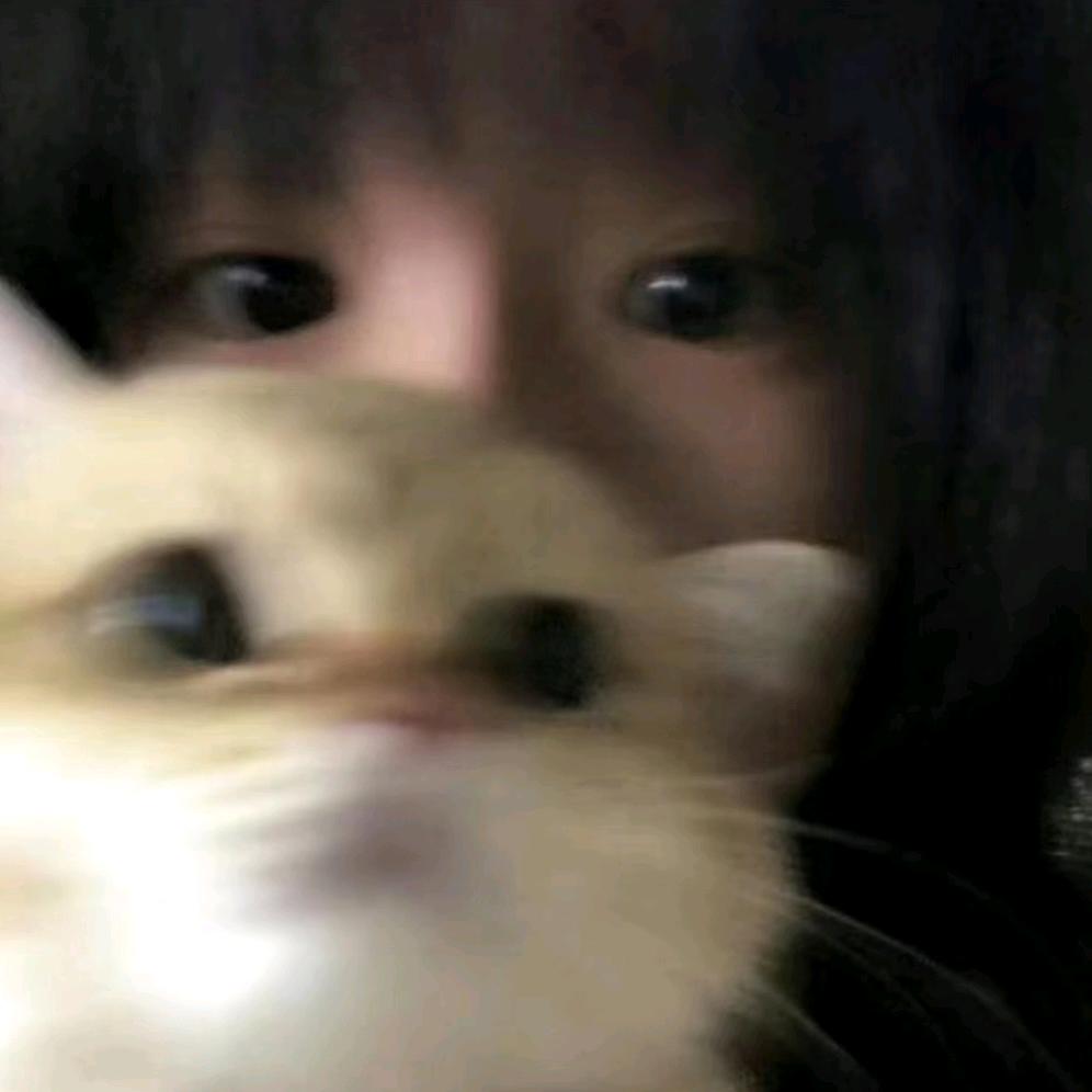 晏安