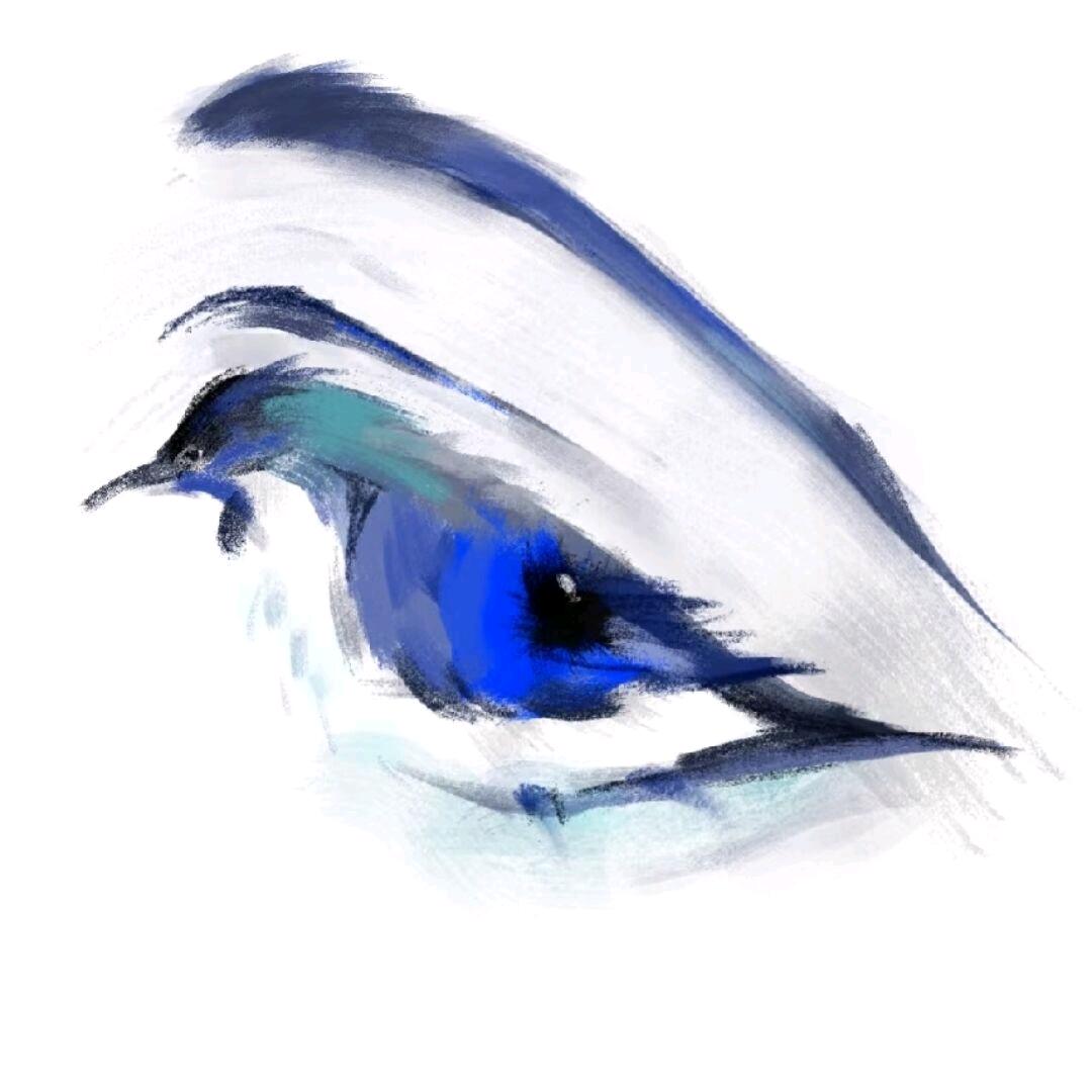 睡不着根本睡不着