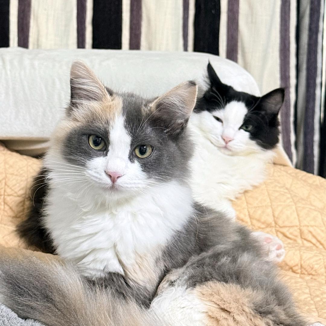 今天起的每一晚