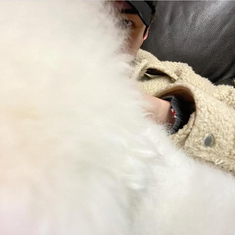 🐥