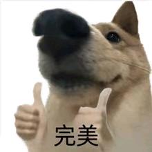 大夫大夫救我（三角洲行动）