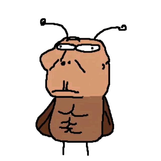 野生大蟑螂