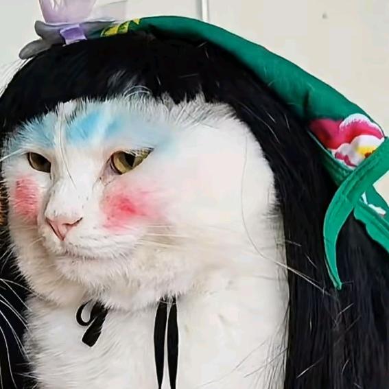 怎会无遗憾