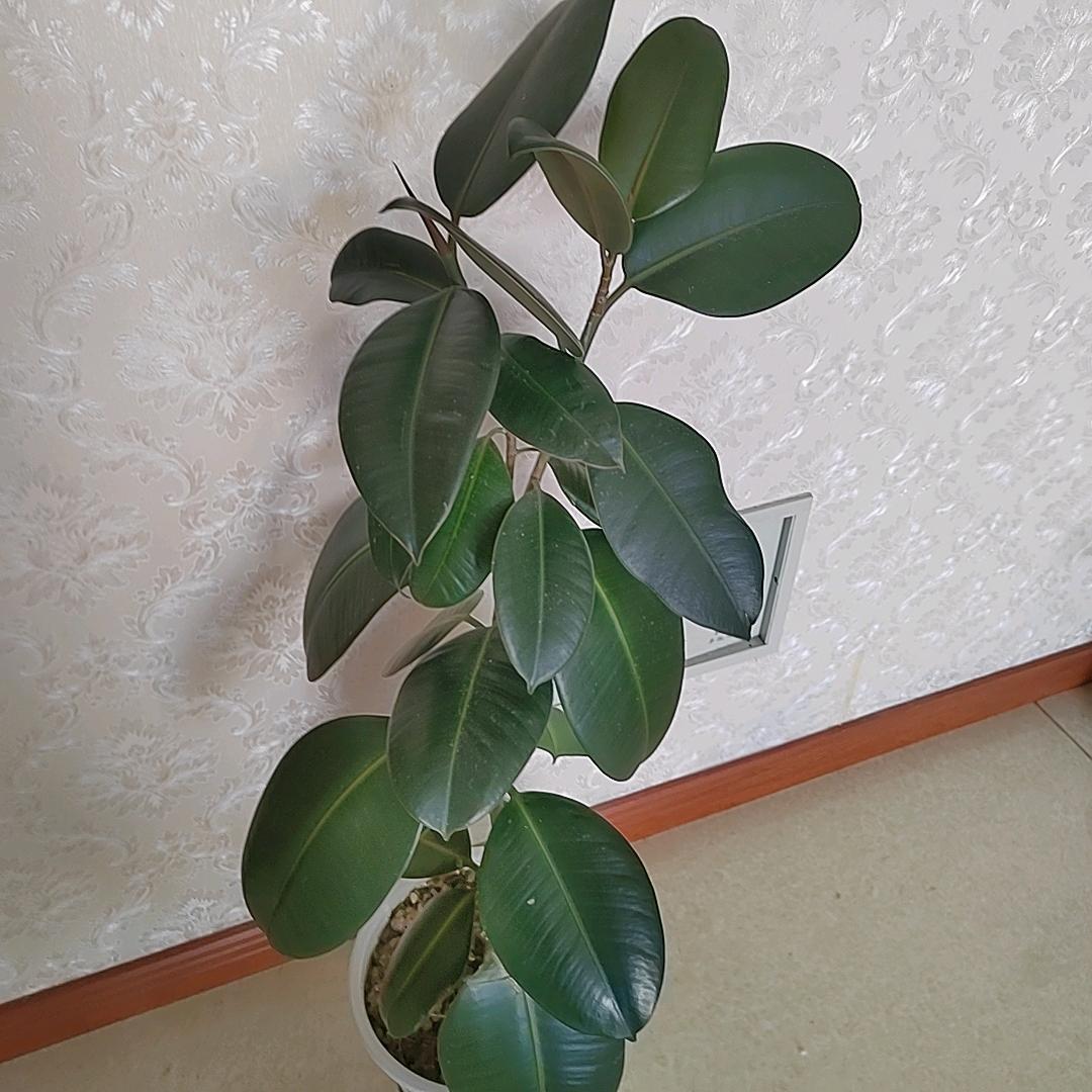 珍惜