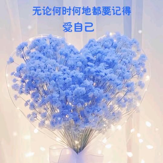 ✨霞姐姐✨
