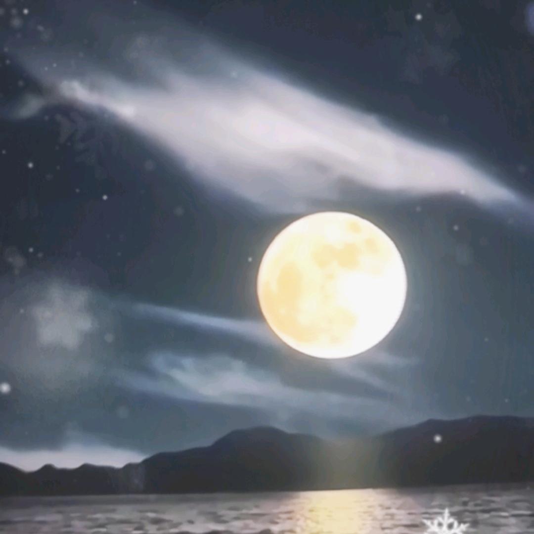 我是一只长尾兔