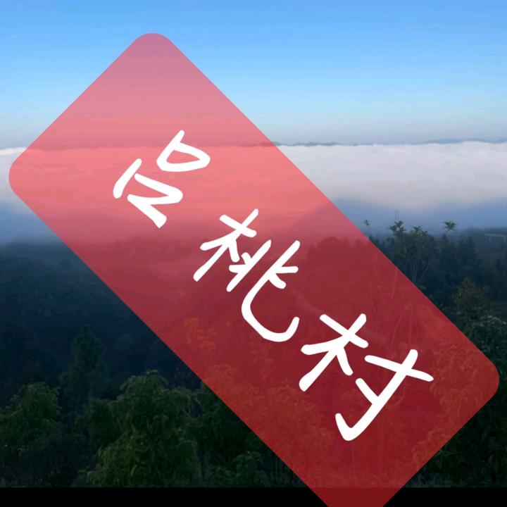 吕桃村