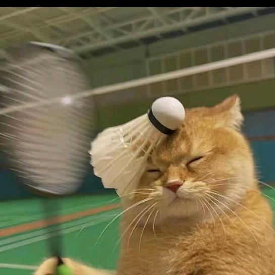 改个名字叫有财