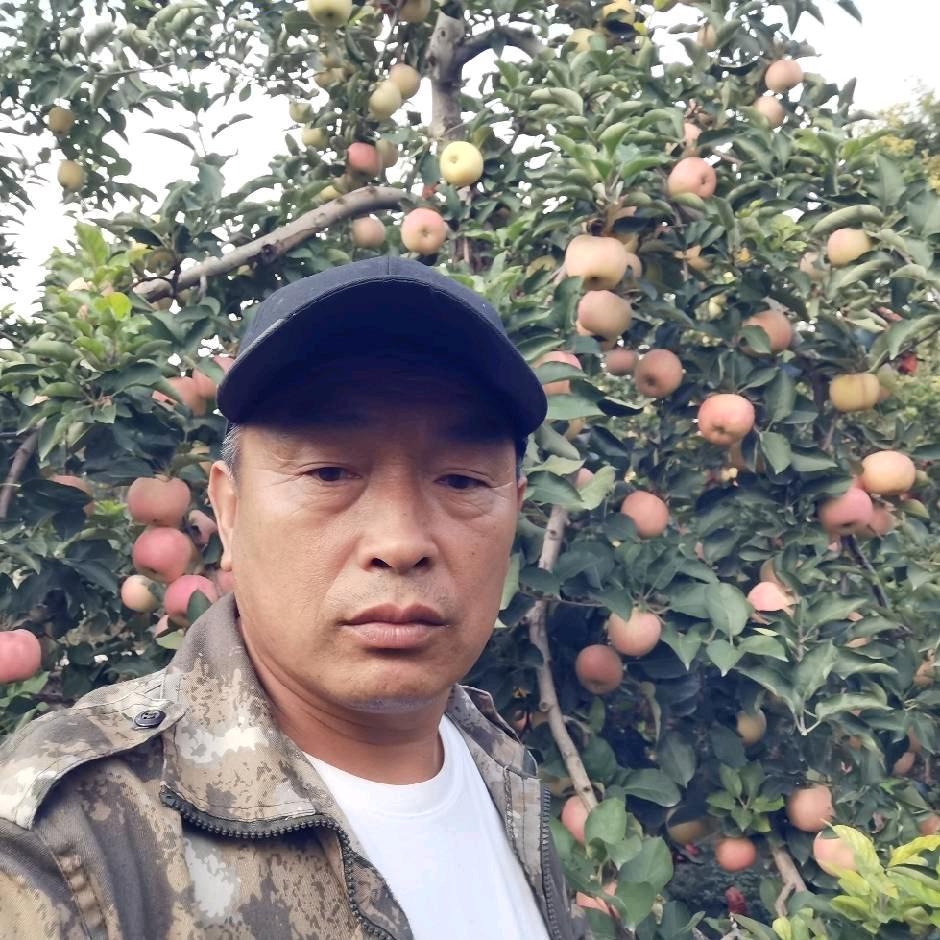 于会武苹果采摘园