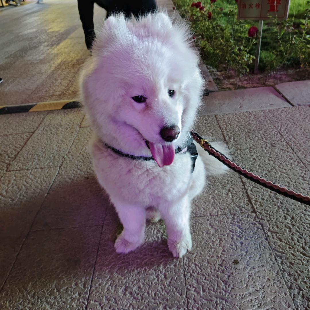 嘻哈1314