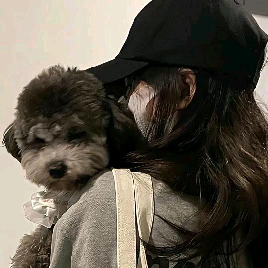 暗香🧉