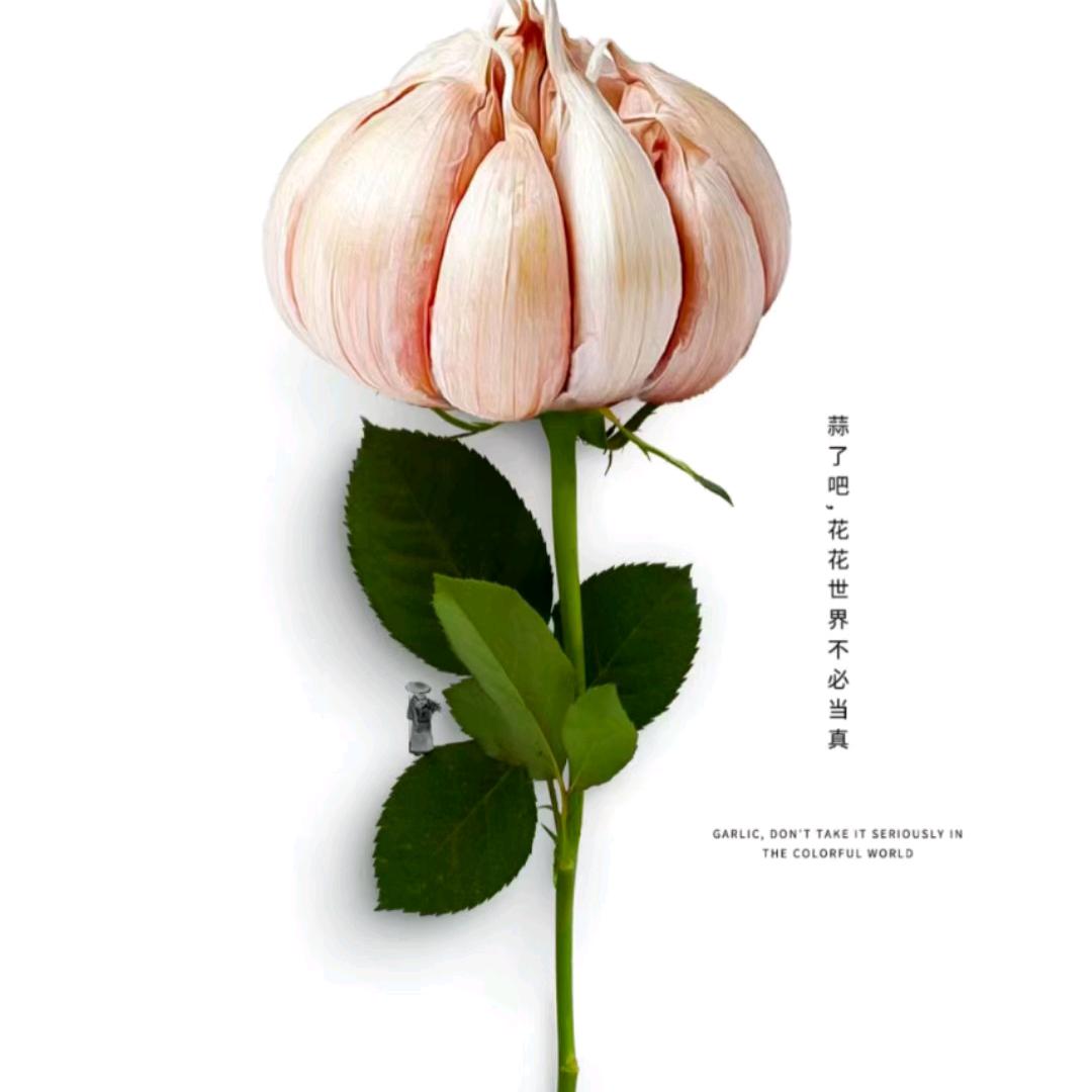 大花花家的多多