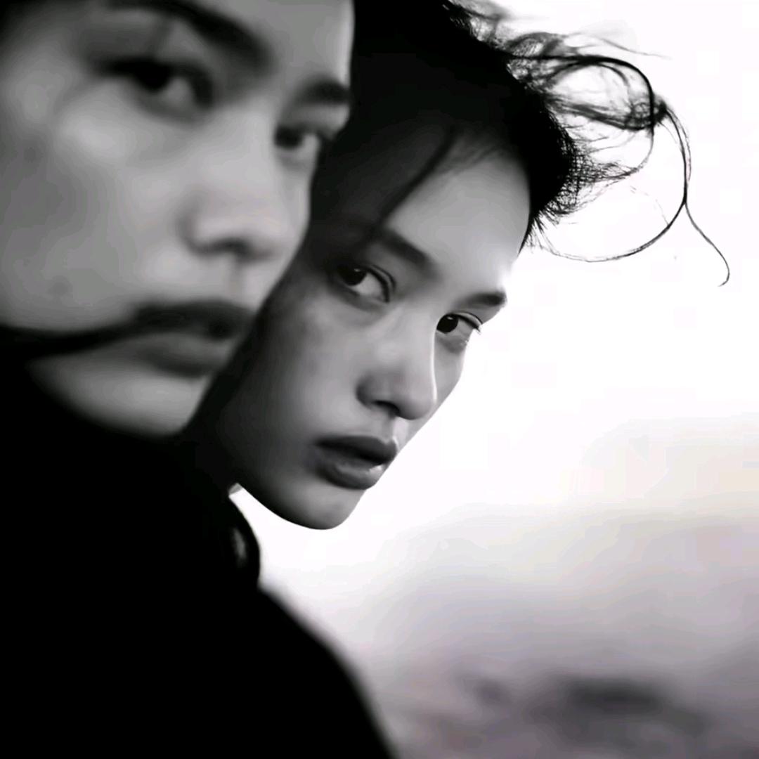 爱与海