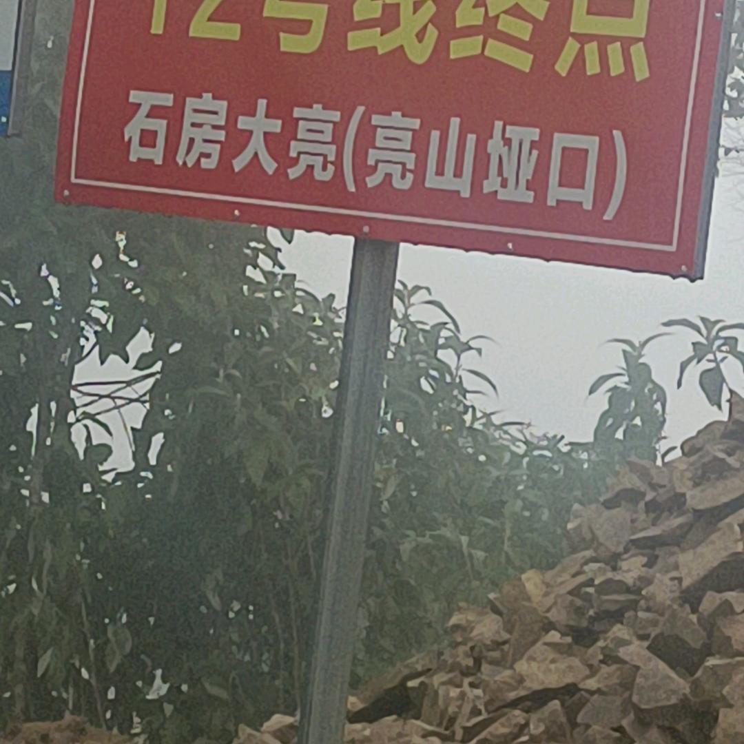 原头古树茶