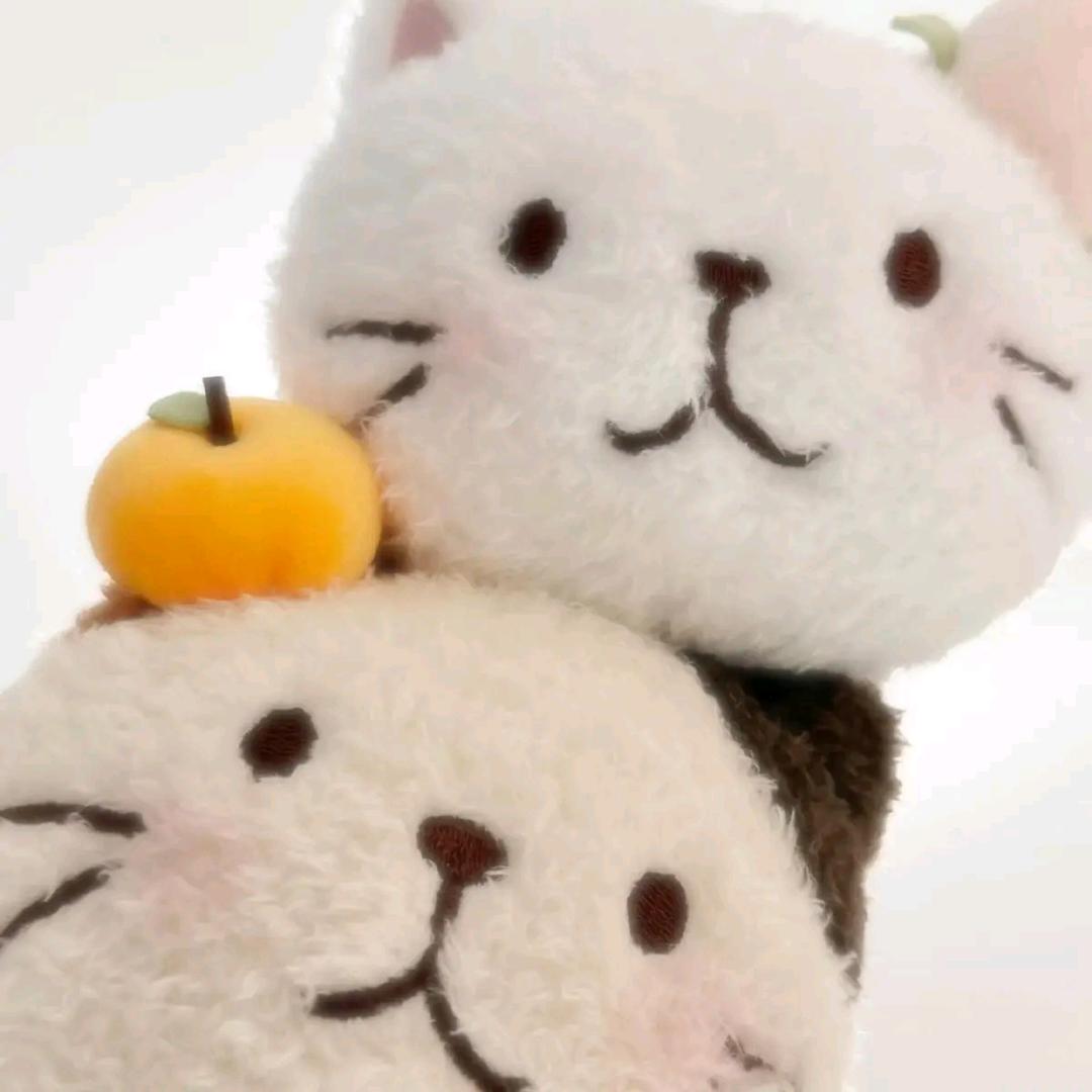 Y·
