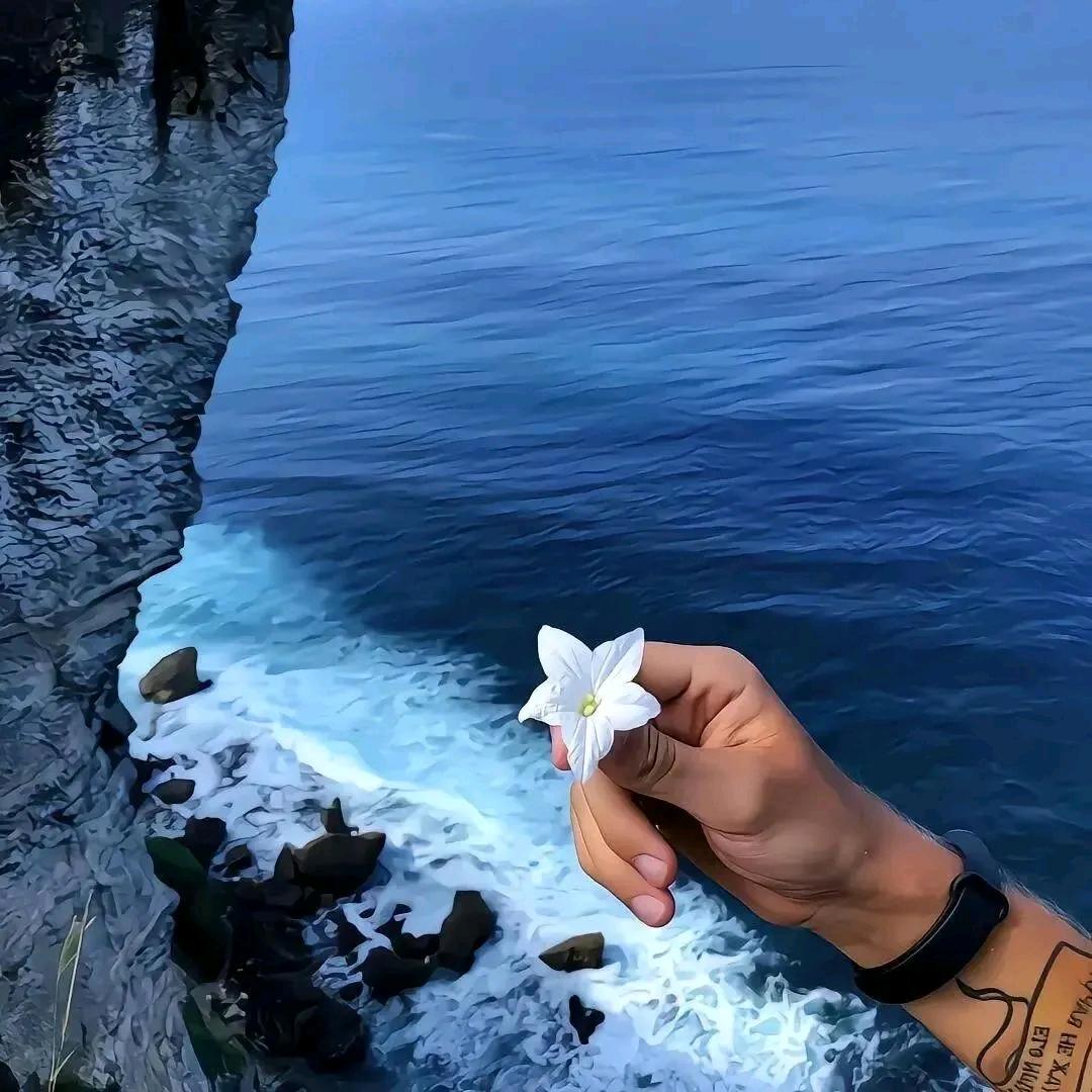 🌈闽北马东锡