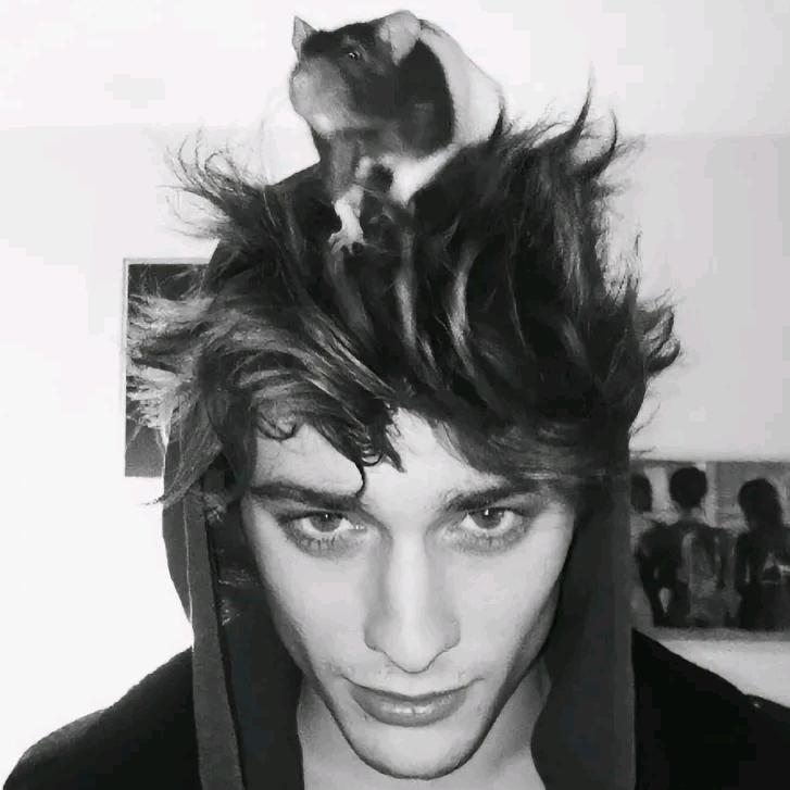 www🦅