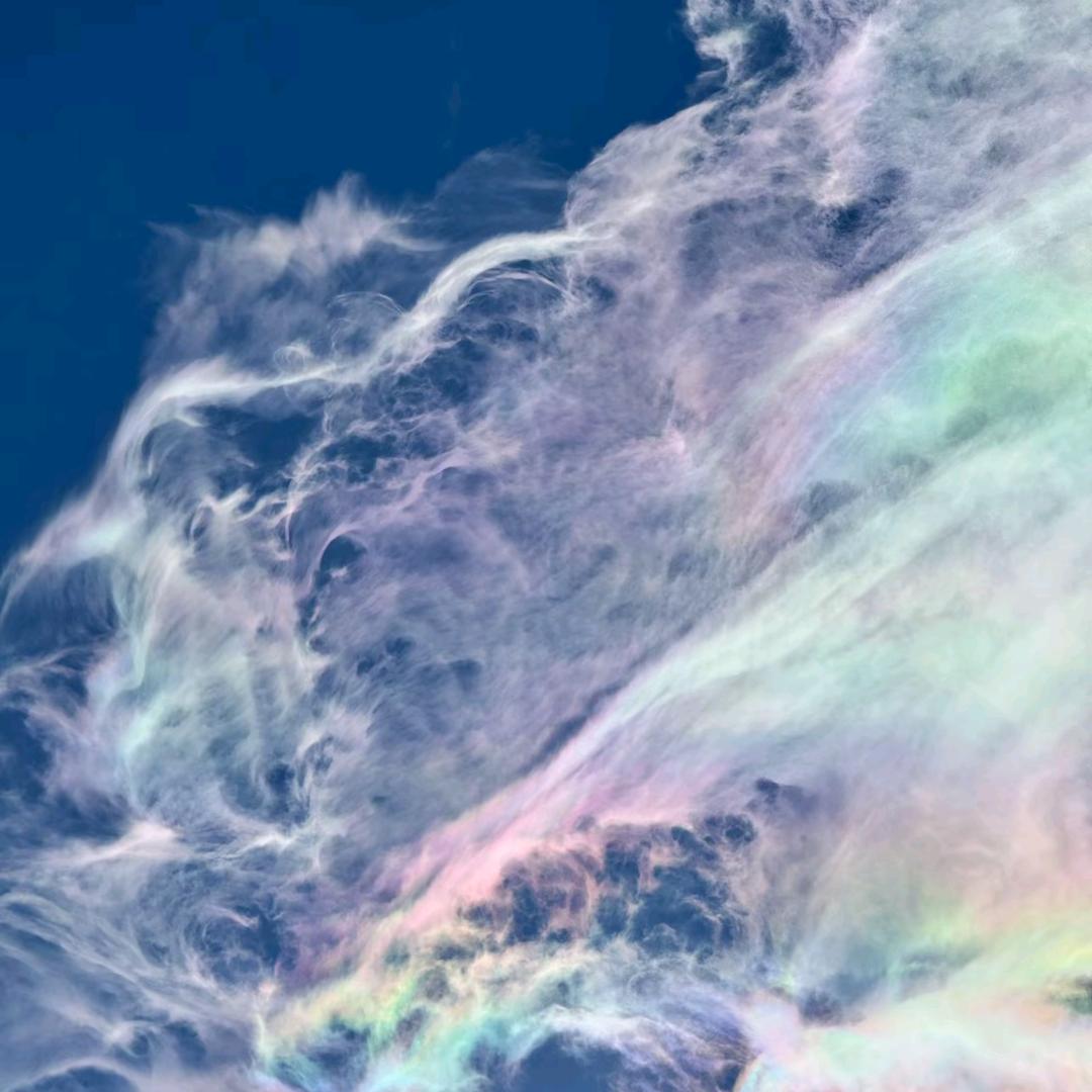 向日葵🌻🌻的梦