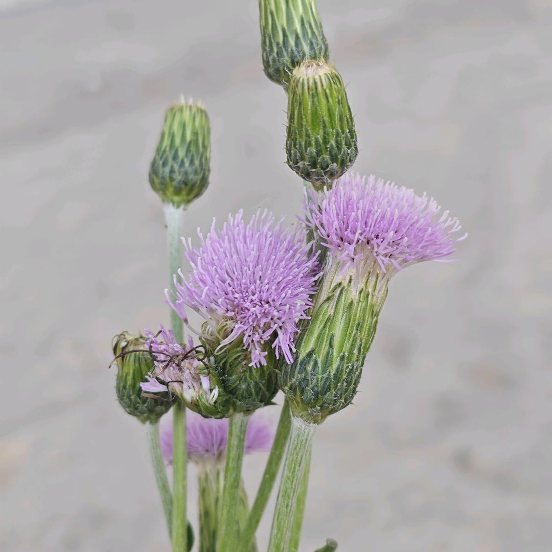 缺钱💰，缺爱♥，又缺你👻