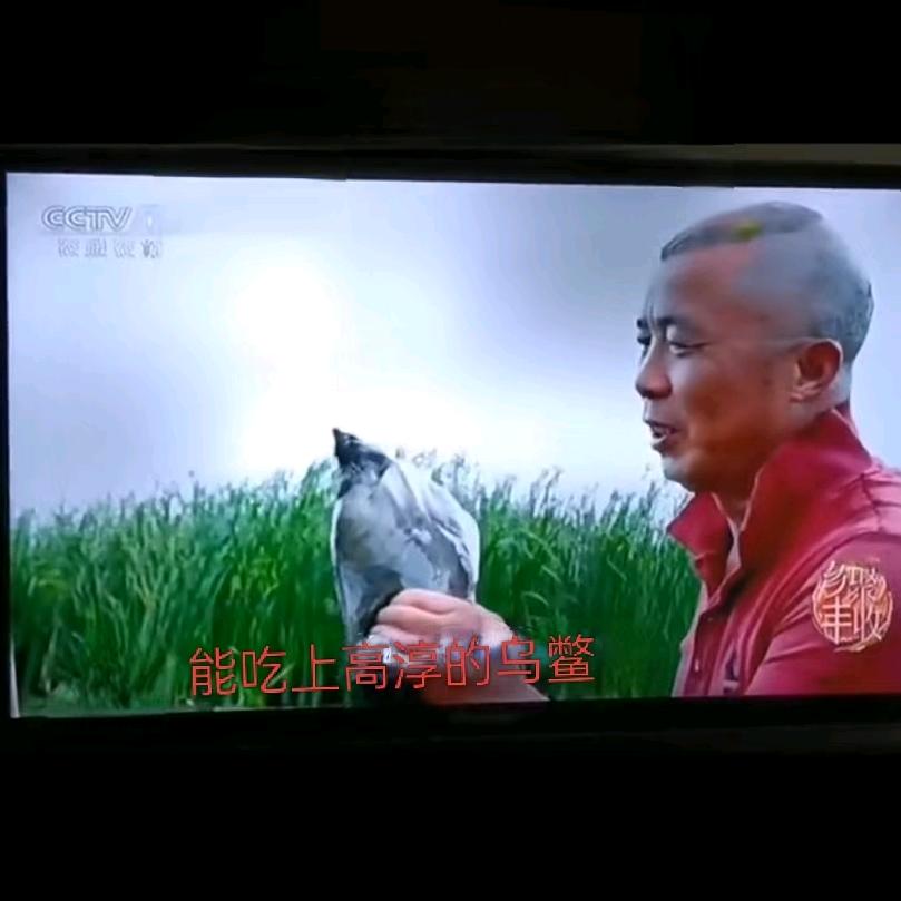 双桥渡农家乐