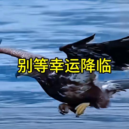 🐣 我想你🐶