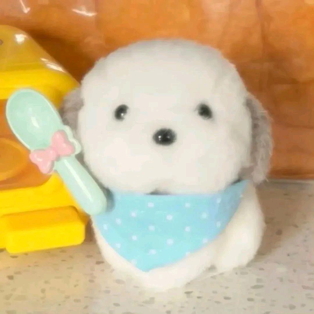 雨离婷.