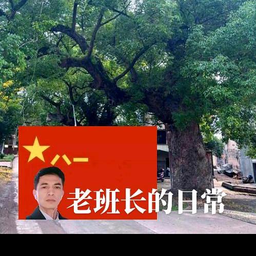 樟树情怀🇨🇳