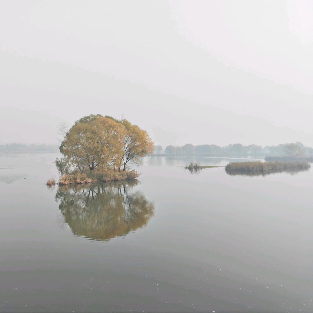 铁板路亚凯司令