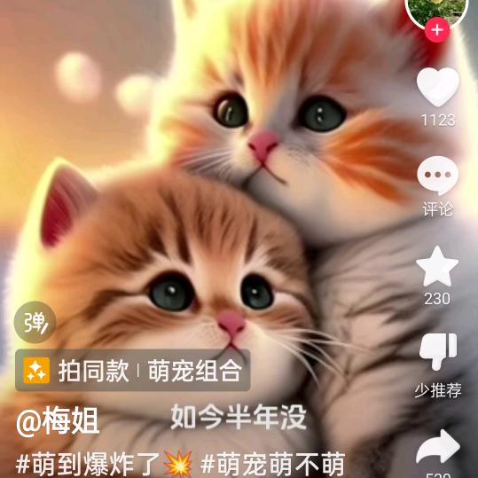 天天来财