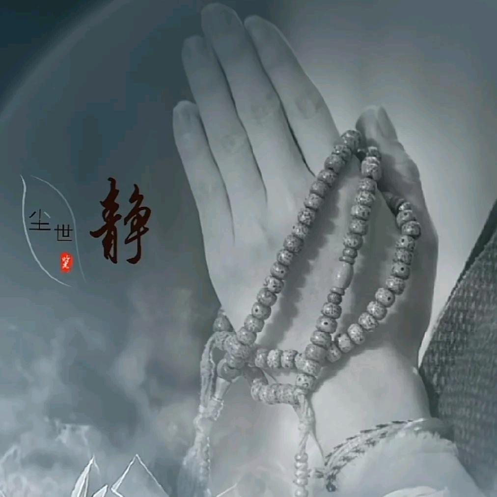 结善缘