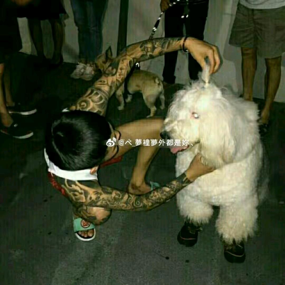 阿豪（正能量）