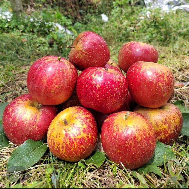 于两生有你生鲜