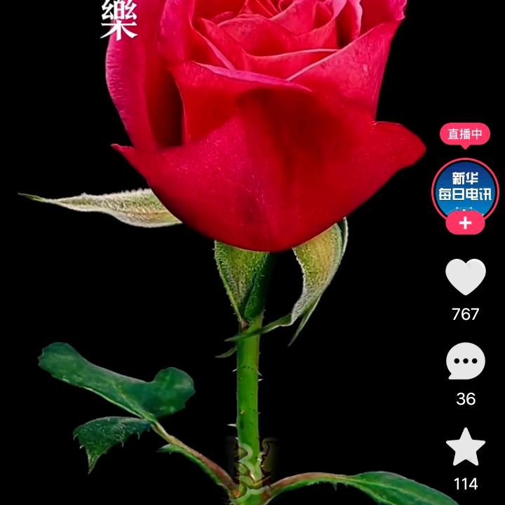 相爱相守每一天