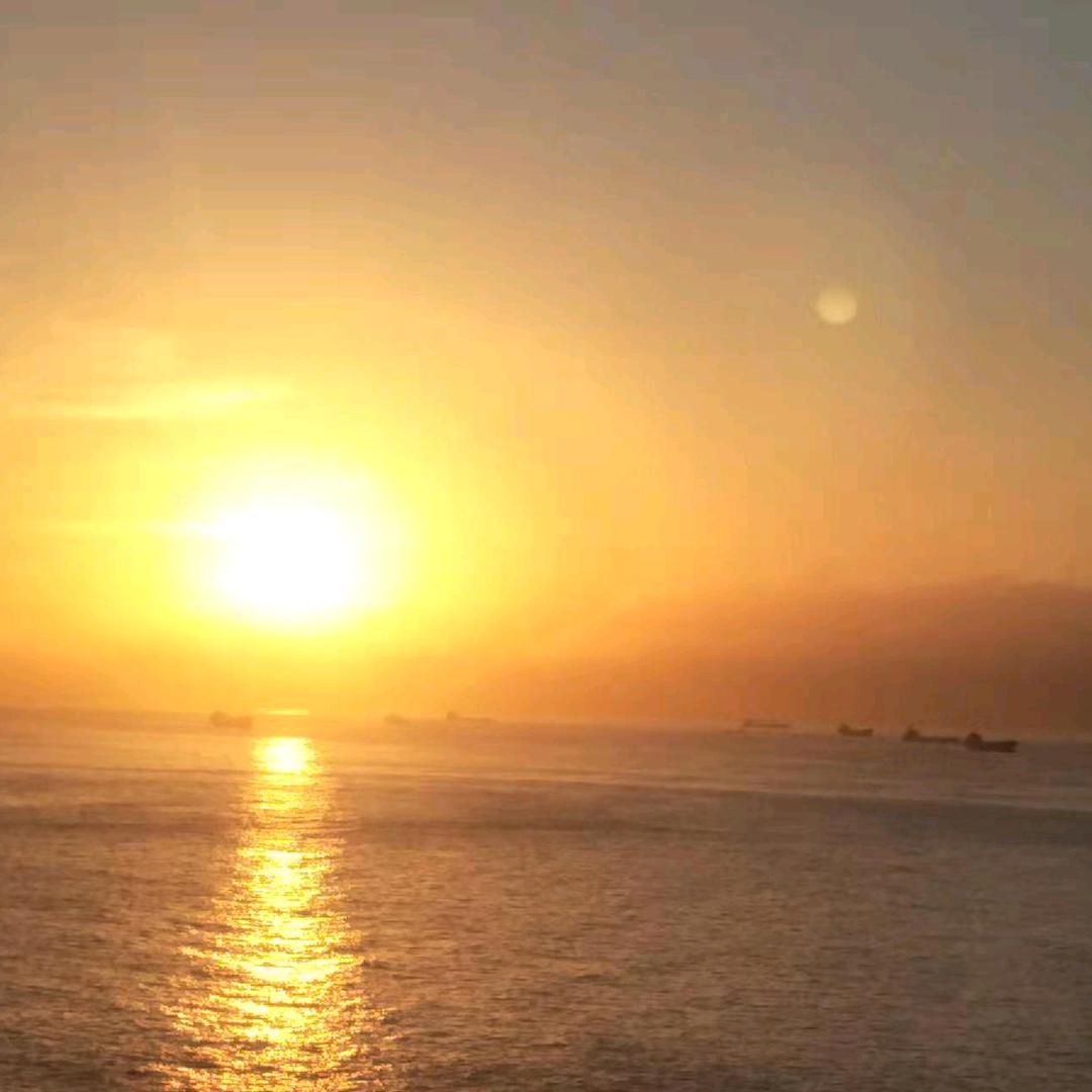 🍎🍎🍊🍊🌹🌹