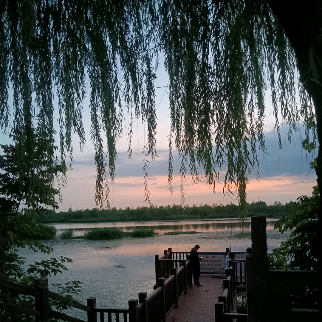 李姐