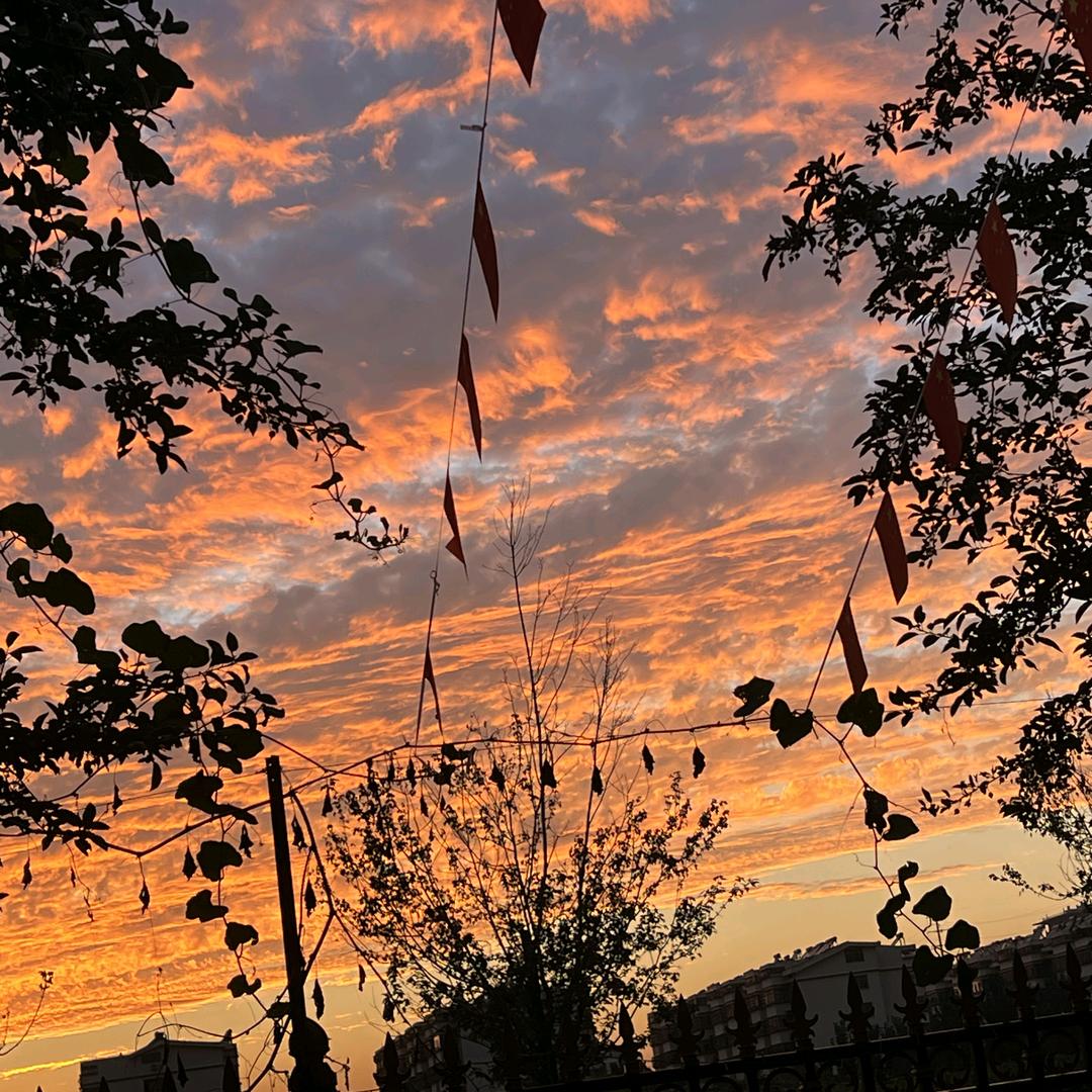 阿宋好物分享🦄