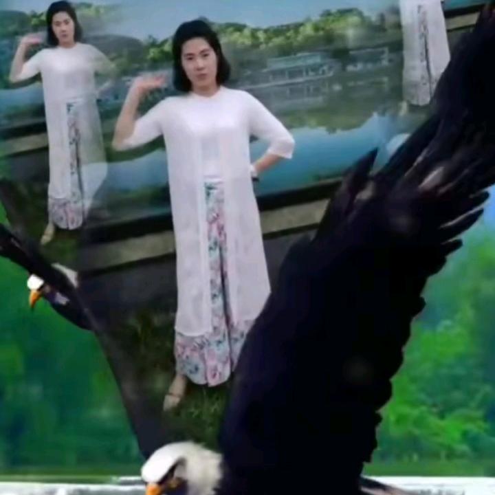 塔吊司机:刘菲菲