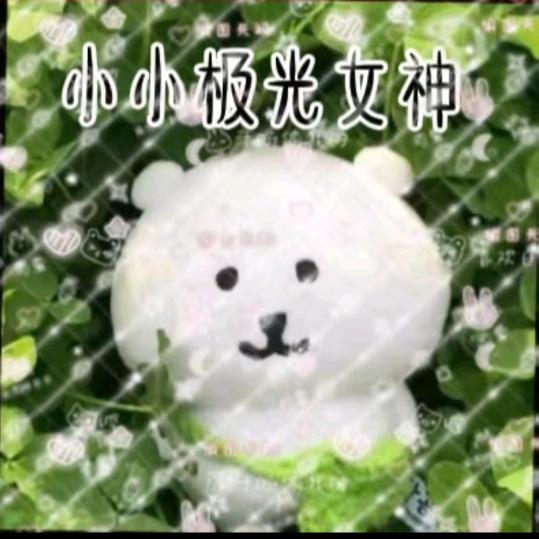 小小极光女神