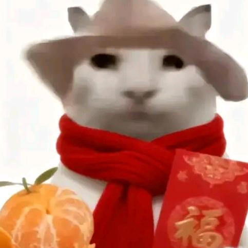 猫桑