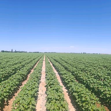 田间地头那点事